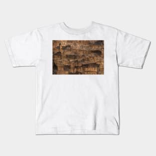 Age old wooden door with cracked paint, close up. Fragment of a rustic textured wall Kids T-Shirt